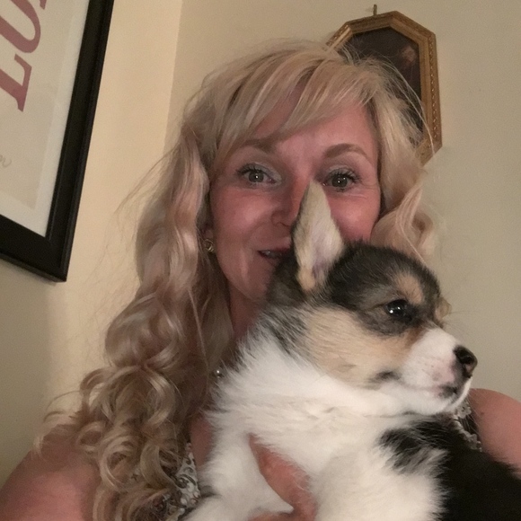 Meet your Posher, Robin - Picture 3 of 8